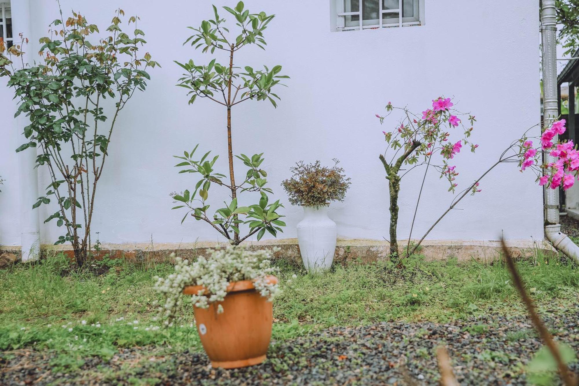 Qiwi House Villa Ureki Exterior photo